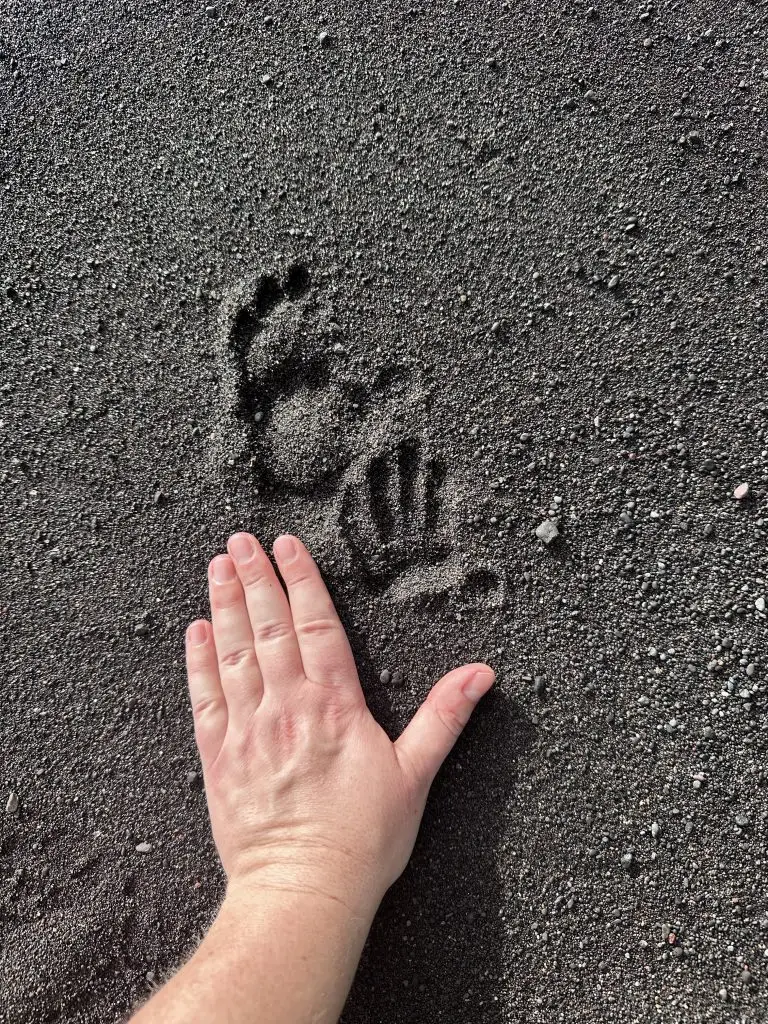 On voit une empreinte de macaque à crête noire à côté d'une main humaine d'Alizée, dans le parc national de Tangkoko en Indonésie